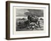 Nova Scotia, on the Tantramar Marshes, Canada, Nineteenth Century-null-Framed Giclee Print