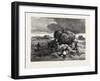 Nova Scotia, on the Tantramar Marshes, Canada, Nineteenth Century-null-Framed Giclee Print
