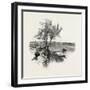 Nova Scotia, Pictou, Canada, Nineteenth Century-null-Framed Giclee Print