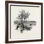 Nova Scotia, Pictou, Canada, Nineteenth Century-null-Framed Giclee Print