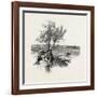 Nova Scotia, Pictou, Canada, Nineteenth Century-null-Framed Giclee Print