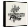 Nova Scotia, Pictou, Canada, Nineteenth Century-null-Framed Stretched Canvas