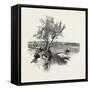 Nova Scotia, Pictou, Canada, Nineteenth Century-null-Framed Stretched Canvas