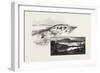 Nova Scotia-null-Framed Giclee Print