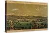 Novara Seen from the South, from Views of the City of Novara, Italy-null-Stretched Canvas