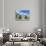 Nove Hrady Chateau-Rob Tilley-Stretched Canvas displayed on a wall