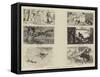 Novello's National Nursery Rhymes-William Small-Framed Stretched Canvas