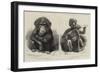 Novelties at the Zoological Gardens-null-Framed Giclee Print