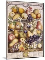 November 1732, Showing Seasonal Apples, Pears, Grapes Etc, 1732-Pieter Casteels-Mounted Giclee Print