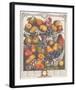 November 1732-Robert Furber-Framed Premium Giclee Print