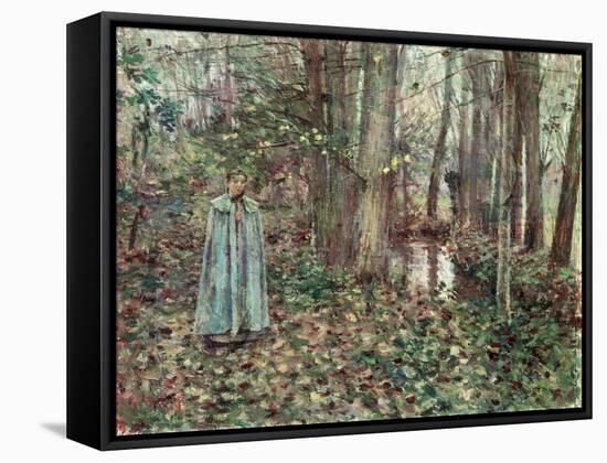 November, 1892-Theodore Robinson-Framed Stretched Canvas