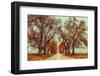 November Adventures-Carrie Ann Grippo-Pike-Framed Photographic Print