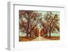 November Adventures-Carrie Ann Grippo-Pike-Framed Photographic Print