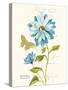 November Blue Chrysanthemum-Ariane Sarah-Stretched Canvas