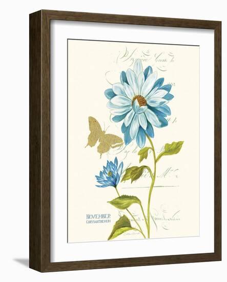 November Blue Chrysanthemum-Ariane Sarah-Framed Art Print