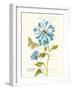 November Blue Chrysanthemum-Ariane Sarah-Framed Art Print