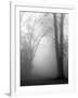 November Fog-Nicholas Bell-Framed Photographic Print