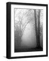 November Fog-Nicholas Bell-Framed Photographic Print