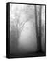 November Fog-Nicholas Bell-Framed Stretched Canvas