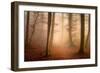 November Forest-Norbert Maier-Framed Premium Giclee Print