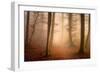 November Forest-Norbert Maier-Framed Giclee Print