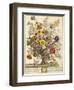 November, from 'twelve Months of Flowers' by Robert Furber (C.1674-1756) Engraved by Henry Fletcher-Pieter Casteels-Framed Giclee Print