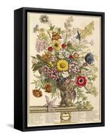 November, from 'twelve Months of Flowers' by Robert Furber (C.1674-1756) Engraved by Henry Fletcher-Pieter Casteels-Framed Stretched Canvas