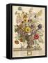 November, from 'twelve Months of Flowers' by Robert Furber (C.1674-1756) Engraved by Henry Fletcher-Pieter Casteels-Framed Stretched Canvas
