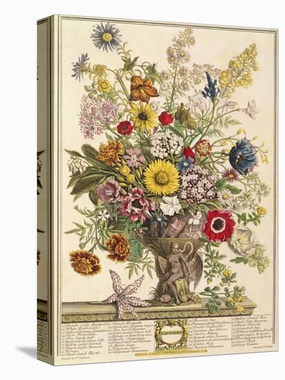 November, from 'twelve Months of Flowers' by Robert Furber (C.1674-1756) Engraved by Henry Fletcher-Pieter Casteels-Stretched Canvas