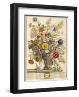 November, from 'twelve Months of Flowers' by Robert Furber (C.1674-1756) Engraved by Henry Fletcher-Pieter Casteels-Framed Premium Giclee Print