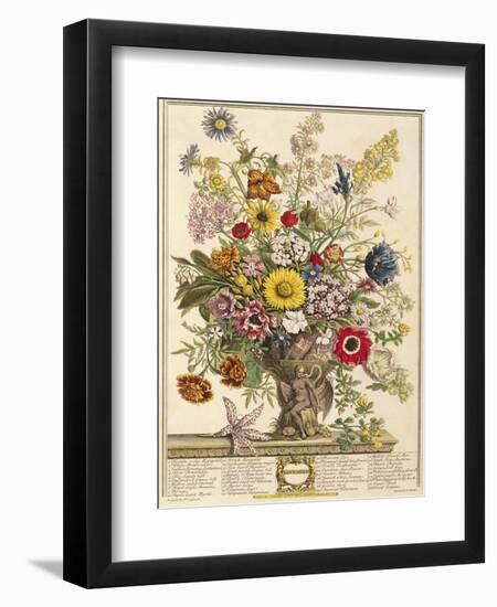 November, from 'twelve Months of Flowers' by Robert Furber (C.1674-1756) Engraved by Henry Fletcher-Pieter Casteels-Framed Premium Giclee Print