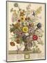 November, from 'twelve Months of Flowers' by Robert Furber (C.1674-1756) Engraved by Henry Fletcher-Pieter Casteels-Mounted Premium Giclee Print