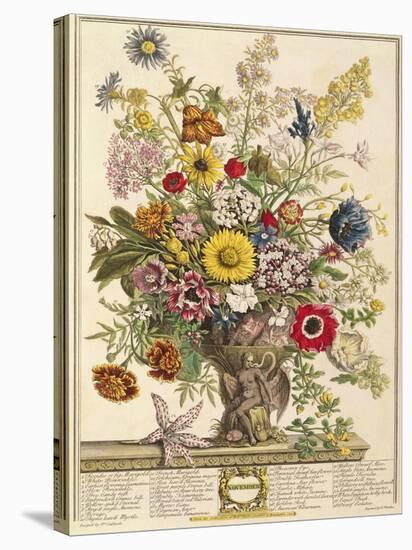 November, from 'twelve Months of Flowers' by Robert Furber (C.1674-1756) Engraved by Henry Fletcher-Pieter Casteels-Stretched Canvas