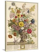 November, from 'twelve Months of Flowers' by Robert Furber (C.1674-1756) Engraved by Henry Fletcher-Pieter Casteels-Stretched Canvas