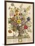 November, from 'twelve Months of Flowers' by Robert Furber (C.1674-1756) Engraved by Henry Fletcher-Pieter Casteels-Framed Giclee Print