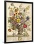 November, from 'twelve Months of Flowers' by Robert Furber (C.1674-1756) Engraved by Henry Fletcher-Pieter Casteels-Framed Giclee Print