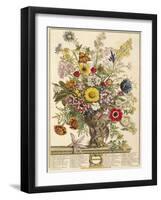 November, from 'twelve Months of Flowers' by Robert Furber (C.1674-1756) Engraved by Henry Fletcher-Pieter Casteels-Framed Giclee Print