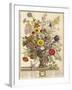 November, from 'twelve Months of Flowers' by Robert Furber (C.1674-1756) Engraved by Henry Fletcher-Pieter Casteels-Framed Giclee Print