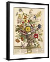 November, from 'twelve Months of Flowers' by Robert Furber (C.1674-1756) Engraved by Henry Fletcher-Pieter Casteels-Framed Giclee Print