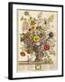 November, from 'twelve Months of Flowers' by Robert Furber (C.1674-1756) Engraved by Henry Fletcher-Pieter Casteels-Framed Giclee Print