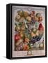 November, from 'Twelve Months of Fruits'-Pieter Casteels-Framed Stretched Canvas