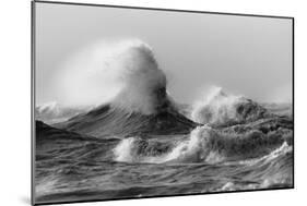 November Gales 2-Mark Spowart-Mounted Art Print