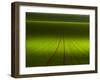 November Green-Franz Schumacher-Framed Photographic Print