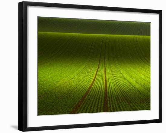 November Green-Franz Schumacher-Framed Photographic Print