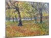 November in Hyde Park, 1997-Patricia Espir-Mounted Giclee Print