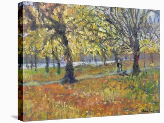 November in Hyde Park, 1997-Patricia Espir-Stretched Canvas