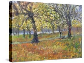 November in Hyde Park, 1997-Patricia Espir-Stretched Canvas