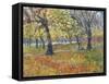 November in Hyde Park, 1997-Patricia Espir-Framed Stretched Canvas