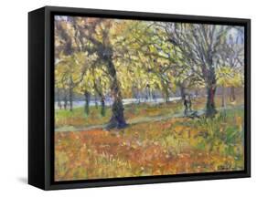 November in Hyde Park, 1997-Patricia Espir-Framed Stretched Canvas