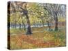 November in Hyde Park, 1997-Patricia Espir-Stretched Canvas